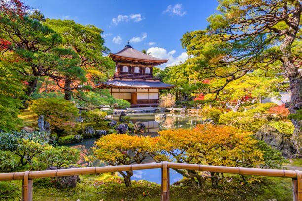 Kyoto Full Tour - Image 3